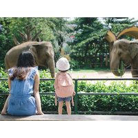 2 Tage Aktivität und Entspannung im schönen Arnheim Städteurlaub online kaufen 2 Tage Aktivität und Entspannung im schönen Arnheim Städteurlaub online kaufen