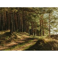 2 Tage Alltagspause im Sauerland in Brilon, Nordrhein-Westfalen inkl. Halbpension Städteurlaub online kaufen 2 Tage Alltagspause im Sauerland in Brilon, Nordrhein-Westfalen inkl. Halbpension Städteurlaub online kaufen