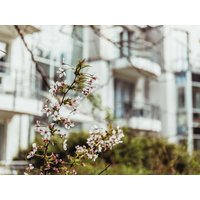 2 Tage Auszeit vom Alltag in der Natur in Banzkow, Mecklenburg-Vorpommern inkl. Frühstück Städteurlaub online kaufen