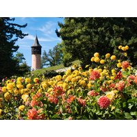2 Tage Blumige Farbenpracht-Insel Mainau im Bodensee | 2 T. in Tuttlingen, Baden-Württemberg inkl. Frühstück Städteurlaub online kaufen