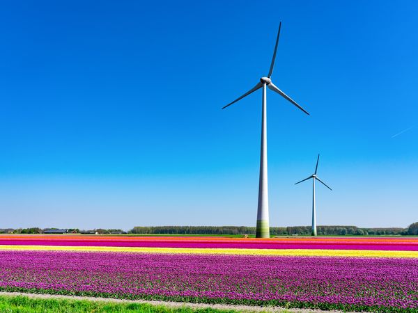 2 Tage Kurzurlaub mit Frühstück im Leonardo Hotel Lelystad City Center, Flevoland inkl. Frühstück Städteurlaub online kaufen