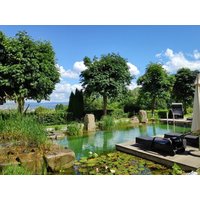2 Tage Wellness-Relax in Kassel, Hessen inkl. Halbpension Städteurlaub online kaufen
