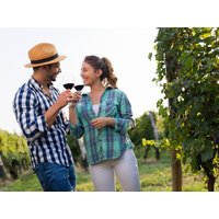 2 Tage Wellness und Genuss - Wiesbaden & Rheingau erleben, Hessen inkl. Frühstück Städteurlaub online kaufen 2 Tage Wellness und Genuss - Wiesbaden & Rheingau erleben, Hessen inkl. Frühstück Städteurlaub online kaufen