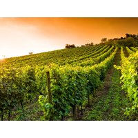 2 Tage Wohlfühltage zwischen Bergstraße und Odenwald - 1 ÜN in Heppenheim (Bergstraße), Hessen inkl. Halbpension Städteurlaub online kaufen