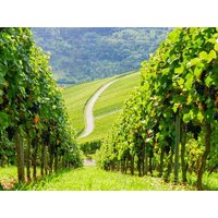 3 Tage Ausspannen in der Pfalz in Frankenthal (Pfalz), Rheinland-Pfalz inkl. Frühstück Städteurlaub online kaufen 3 Tage Ausspannen in der Pfalz in Frankenthal (Pfalz), Rheinland-Pfalz inkl. Frühstück Städteurlaub online kaufen