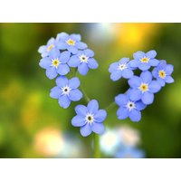 3 Tage Bade-, Sauna- und Wellnesstage bei Zwickau in Mülsen, Sachsen inkl. Frühstück Städteurlaub online kaufen 3 Tage Bade-, Sauna- und Wellnesstage bei Zwickau in Mülsen, Sachsen inkl. Frühstück Städteurlaub online kaufen
