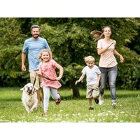 3 Tage Dresden erkunden - eine Städtereise mit Hund, Sachsen inkl. Frühstück Städteurlaub online kaufen