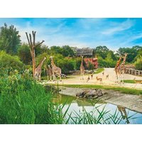 3 Tage Familienspaß im Ruhrgebiet inkl. Zoom Erlebniswelt in Essen, Nordrhein-Westfalen inkl. Frühstück Städteurlaub online kaufen 3 Tage Familienspaß im Ruhrgebiet inkl. Zoom Erlebniswelt in Essen, Nordrhein-Westfalen inkl. Frühstück Städteurlaub online kaufen