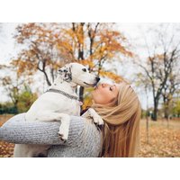 3 Tage Köln - eine Städtereise mit Hund, Nordrhein-Westfalen inkl. Frühstück Städteurlaub online kaufen