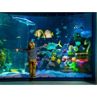 3 Tage Meer erleben im SEA LIFE Oberhausen, Nordrhein-Westfalen inkl. Frühstück Städteurlaub online kaufen 3 Tage Meer erleben im SEA LIFE Oberhausen, Nordrhein-Westfalen inkl. Frühstück Städteurlaub online kaufen