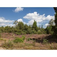 3 Tage Natur pur Rijssen – Aktivurlaub in Overijssel inkl. Halbpension Städteurlaub online kaufen