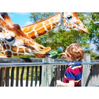 3 Tage Nürnberg mit Nürnberg-Card,Tiergarten, Funpark in Windsbach, Bayern inkl. Frühstück Städteurlaub online kaufen