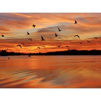 3 Tage Special Mecklenburgische Seenplatte & Neustrelitz, Mecklenburg-Vorpommern inkl. Halbpension Städteurlaub online kaufen