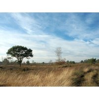 3 Tage Urlaub an der Niederländisch-Belgischen Grenze in Reusel inkl. Halbpension Städteurlaub online kaufen 3 Tage Urlaub an der Niederländisch-Belgischen Grenze in Reusel inkl. Halbpension Städteurlaub online kaufen