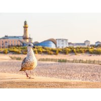 3 Tage Wellnessauszeit zu Zweit in Rostock, Mecklenburg-Vorpommern inkl. Halbpension Städteurlaub online kaufen