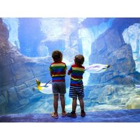 4 Tage 3 Nächte Zoo Arrangement in Duisburg, Nordrhein-Westfalen inkl. Frühstück Städteurlaub online kaufen