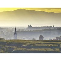 4 Tage Herbsturlaub am Kaiserstuhl erleben - Wein, Natur & Genuss in Gottenheim inkl. Halbpension Städteurlaub online kaufen