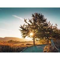 4 Tage Kurzurlaub in Wernigerode, Sachsen-Anhalt inkl. Frühstück Städteurlaub online kaufen