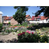 4 Tage Mühlhausen-Special: Wochenstart-Arrangement 3=2 in Mühlhausen (Thüringen) inkl. Frühstück Städteurlaub online kaufen 4 Tage Mühlhausen-Special: Wochenstart-Arrangement 3=2 in Mühlhausen (Thüringen) inkl. Frühstück Städteurlaub online kaufen