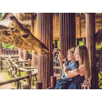 4 Tage Nürnberg mit Nürnberg-Card & Tiergarten in Windsbach, Bayern inkl. Frühstück Städteurlaub online kaufen 4 Tage Nürnberg mit Nürnberg-Card & Tiergarten in Windsbach, Bayern inkl. Frühstück Städteurlaub online kaufen