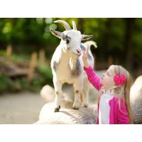4 Tage Nürnberg mit Nürnberg-Card, Tiergarten,Funpark in Windsbach, Bayern inkl. Frühstück Städteurlaub online kaufen