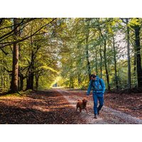 4 Tage Papenburg - eine Auszeit mit Hund, Niedersachsen inkl. Frühstück Städteurlaub online kaufen
