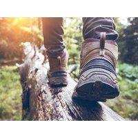 4 Tage Raus in die grüne Nordpfalz in Kirchheimbolanden, Rheinland-Pfalz inkl. Frühstück Städteurlaub online kaufen 4 Tage Raus in die grüne Nordpfalz in Kirchheimbolanden, Rheinland-Pfalz inkl. Frühstück Städteurlaub online kaufen