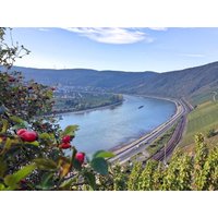 4 Tage Rhein-Lust-Urlaub in Boppard, Rheinland-Pfalz inkl. Halbpension Städteurlaub online kaufen 4 Tage Rhein-Lust-Urlaub in Boppard, Rheinland-Pfalz inkl. Halbpension Städteurlaub online kaufen