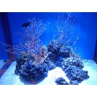 4 Tage Stralsund & Ozeaneum (Sommer), Mecklenburg-Vorpommern inkl. Frühstück Städteurlaub online kaufen 4 Tage Stralsund & Ozeaneum (Sommer), Mecklenburg-Vorpommern inkl. Frühstück Städteurlaub online kaufen
