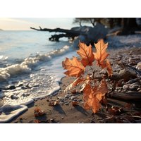 4 Tage Zeit für Erholung in Ueckermünde - Kurzurlaub am Stettiner Haff, Mecklenburg-Vorpommern inkl. Halbpension Städteurlaub online kaufen 4 Tage Zeit für Erholung in Ueckermünde - Kurzurlaub am Stettiner Haff, Mecklenburg-Vorpommern inkl. Halbpension Städteurlaub online kaufen