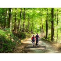 5 romantische Tage im Odenwald+ 1x Abendessen für 2 in Roßdorf (bei Darmstadt), Hessen inkl. Halbpension Städteurlaub online kaufen 5 romantische Tage im Odenwald+ 1x Abendessen für 2 in Roßdorf (bei Darmstadt), Hessen inkl. Halbpension Städteurlaub online kaufen