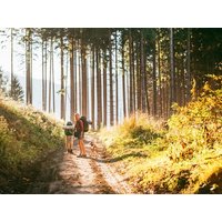 5 Tage **** Genuss & Wandern im Erzgebirge inkl. Halbpension in Hohenstein-Ernstthal, Sachsen inkl. Halbpension Städteurlaub online kaufen 5 Tage **** Genuss & Wandern im Erzgebirge inkl. Halbpension in Hohenstein-Ernstthal, Sachsen inkl. Halbpension Städteurlaub online kaufen
