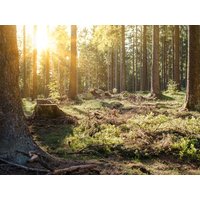 5 Tage Harz entdecken in Goslar, Niedersachsen inkl. Halbpension Städteurlaub online kaufen 5 Tage Harz entdecken in Goslar, Niedersachsen inkl. Halbpension Städteurlaub online kaufen