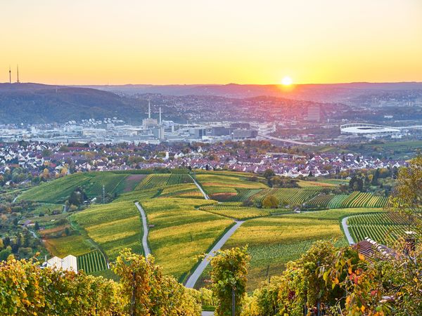 5 Tage in Weinstadt - erkunden Sie Stuttgart, Ludwigsburg und den Neckar in Weinstadt - Beutelsbach, Baden-Württemberg inkl. Frühstück Städteurlaub online kaufen 5 Tage in Weinstadt - erkunden Sie Stuttgart, Ludwigsburg und den Neckar in Weinstadt - Beutelsbach, Baden-Württemberg inkl. Frühstück Städteurlaub online kaufen