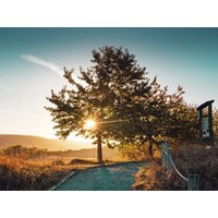 5 Tage Kurzurlaub in Wernigerode, Sachsen-Anhalt inkl. Frühstück Städteurlaub online kaufen