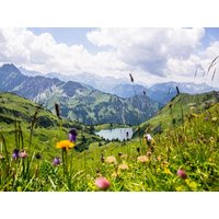 7 Tage im Allgäu ART Hotel mit Frühstück in Kempten (Allgäu), Bayern inkl. Frühstück Städteurlaub online kaufen