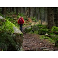 8 Tage Entschleunigungswoche im Harz – 7 Nächte Erholung in Thale, Sachsen-Anhalt inkl. Frühstück Städteurlaub online kaufen 8 Tage Entschleunigungswoche im Harz – 7 Nächte Erholung in Thale, Sachsen-Anhalt inkl. Frühstück Städteurlaub online kaufen