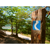 8 Tage Rheinerkundung mit dem Rad in Kamp-Bornhofen, Rheinland-Pfalz inkl. Halbpension Städteurlaub online kaufen 8 Tage Rheinerkundung mit dem Rad in Kamp-Bornhofen, Rheinland-Pfalz inkl. Halbpension Städteurlaub online kaufen