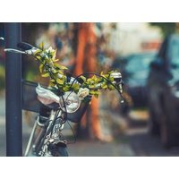 Aktiv-Erlebnis Dresden & das Elbtal - 5 Tage, Sachsen inkl. Frühstück Städteurlaub online kaufen Aktiv-Erlebnis Dresden & das Elbtal - 5 Tage, Sachsen inkl. Frühstück Städteurlaub online kaufen
