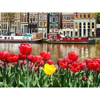 Amsterdam in Style: 4 Tage Kultur und Entspannung, Nordholland (Noord-Holland) inkl. Halbpension Städteurlaub online kaufen