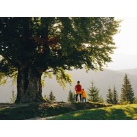 Anti-Stress Tage im Harz - 3 Tage in Ilsenburg (Harz), Sachsen-Anhalt inkl. Halbpension Städteurlaub online kaufen