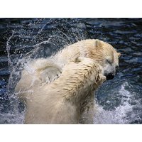Elbflorenz & Zoo-Erlebnis Elbtal-Dresden - 3 Tage, Sachsen inkl. Frühstück Städteurlaub online kaufen Elbflorenz & Zoo-Erlebnis Elbtal-Dresden - 3 Tage, Sachsen inkl. Frühstück Städteurlaub online kaufen