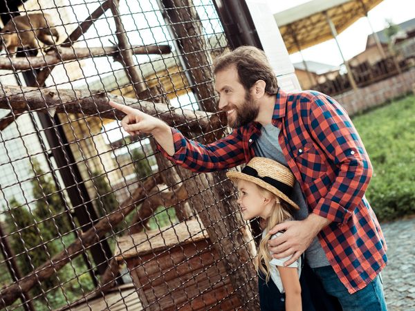 Komfort in der City! 8 Tage Urlaub mit Frühstück im JUFA Hotel Wien City inkl. Frühstück Städteurlaub online kaufen Komfort in der City! 8 Tage Urlaub mit Frühstück im JUFA Hotel Wien City inkl. Frühstück Städteurlaub online kaufen