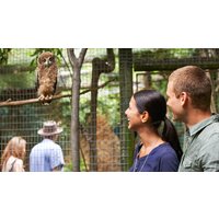 Kurztrip mit Zoobesuch Braunschweig für 2 (2 Nächte) Städteurlaub online kaufen Kurztrip mit Zoobesuch Braunschweig für 2 (2 Nächte) Städteurlaub online kaufen