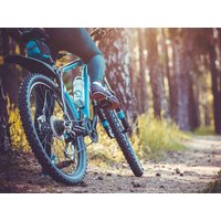 Mit dem Fahrrad den Nordschwarzwald erkunden - 3 Tage in Pfinztal OT Söllingen, Baden-Württemberg inkl. Halbpension Städteurlaub online kaufen