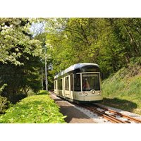 Oberösterreich genießen, - Urlaub in Wels inkl. Fahrt mit der Pöstlingberg Bahn | 3 Tage inkl. Frühstück Städteurlaub online kaufen