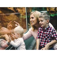 Opelzoo Kronberg mit Essen und Übernachtung | 3 Tage in Eschborn, Hessen inkl. Halbpension Städteurlaub online kaufen Opelzoo Kronberg mit Essen und Übernachtung | 3 Tage in Eschborn, Hessen inkl. Halbpension Städteurlaub online kaufen