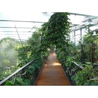 Stadt Land Biosphäre Potsdam - 4 Tage, Brandenburg inkl. Frühstück Städteurlaub online kaufen Stadt Land Biosphäre Potsdam - 4 Tage, Brandenburg inkl. Frühstück Städteurlaub online kaufen