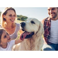 Tierisch Leipzig - Urlaub mit dem Hund | 3 Tage, Sachsen inkl. Frühstück Städteurlaub online kaufen