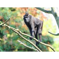 Tierische Erlebnisse im Zoo Vivarium - 2 Tage in Griesheim, Hessen inkl. Frühstück Städteurlaub online kaufen